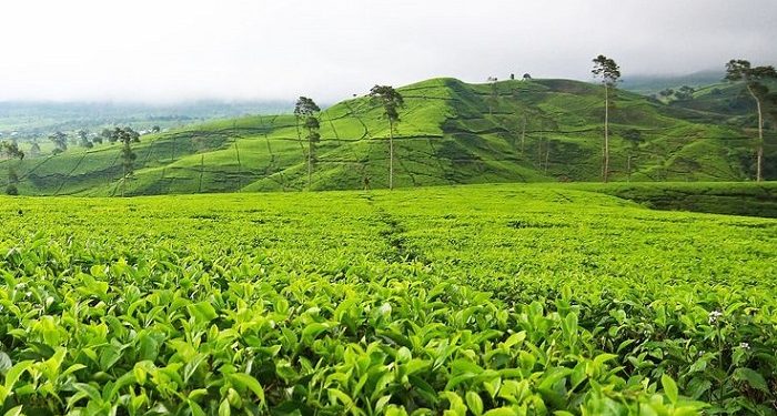 Itinerary ke Pegunungan untuk Budget 500 Ribu