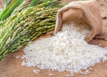 Menteri Pertanian Tindak Tegas Perkara Beras Oplosan