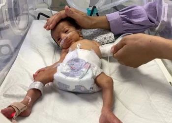 Bayi-bayi di Gaza Berjuang untuk Bertahan Hidup di Tengah Kekurangan Susu Formula