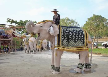 Di Balik Perang Thailand dan Kamboja