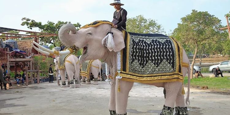 Di Balik Perang Thailand dan Kamboja