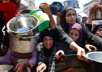 Israel Berencana Menduduki Gaza Secara Total, YPSP Ungkap Tujuan Serta dan yang Perlu Dilakukan