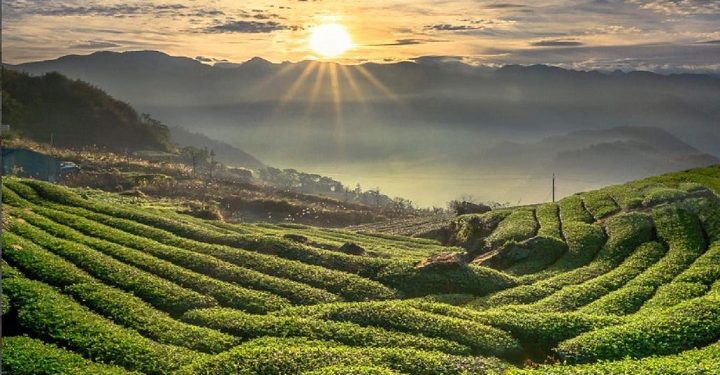 Cuaca Tropis Berpengaruh pada Kondisi Kulit Manusia
