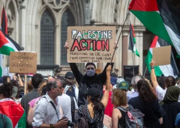 Penulis Buku Terlaris Irlandia Mengatakan Akan Mendukung Aksi Palestina Meskipun Ada Larangan Pemerintah