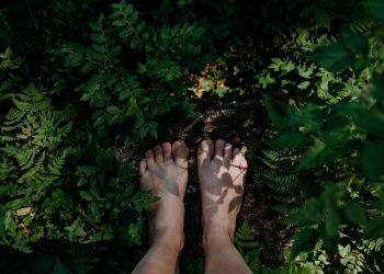 Forest Bathing jadi Cara untuk Meredakan Stres Ringan