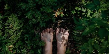 Forest Bathing jadi Cara untuk Meredakan Stres Ringan