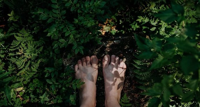 Forest Bathing jadi Cara untuk Meredakan Stres Ringan
