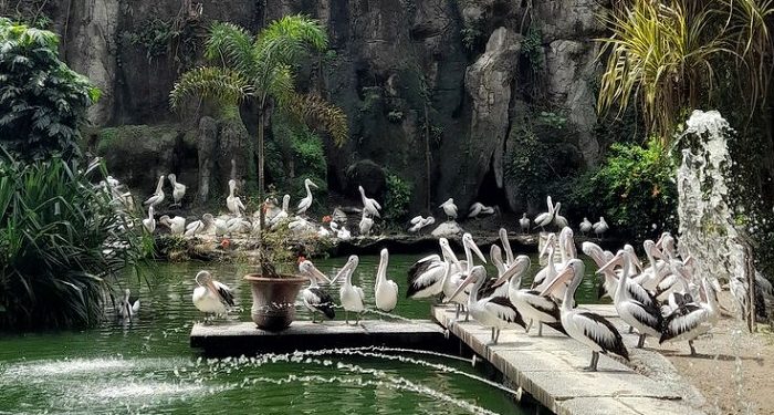 46.467 Wisatawan Mengunjungi Ragunan saat Libur HUT RI ke-80