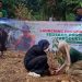 150 Pohon Ditanam Serempak dalam Program Sedekah Pohon Produktif Dompet Dhuafa