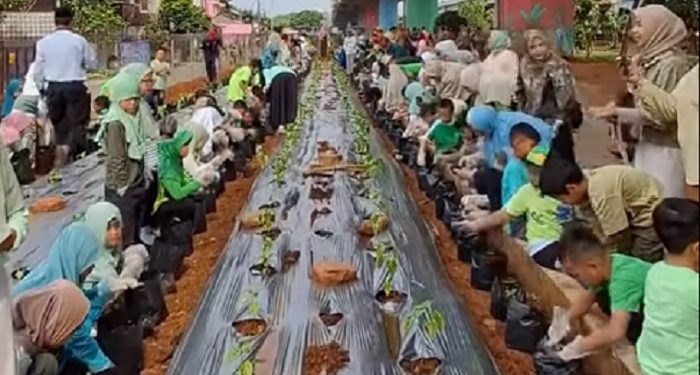 Planting & Harvesting di SD JISc, Tanamkan Nilai Edukatif Sejak Dini