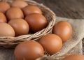 Apa yang Terjadi Jika Makan Telur Setiap Hari?