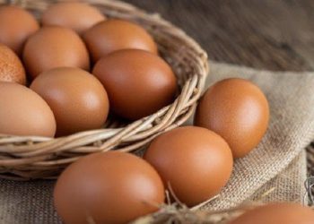 Apa yang Terjadi Jika Makan Telur Setiap Hari?