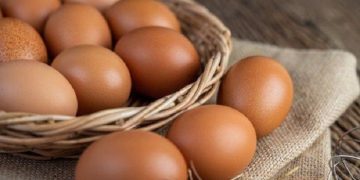 Apa yang Terjadi Jika Makan Telur Setiap Hari?