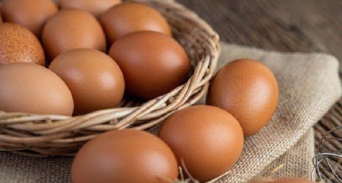 Apa yang Terjadi Jika Makan Telur Setiap Hari?