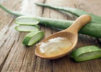 Simak Manfaat Lidah Buaya untuk Kulit Usia 50 Tahun Ke Atas