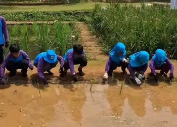 Serunya Outing SD JISc ke Desa Pelita: Belajar, Bermain, dan Menghargai Lingkungan