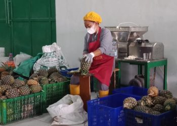 Petani Lokal jadi Pemilik Pabrik dan Saham di IKON Subang