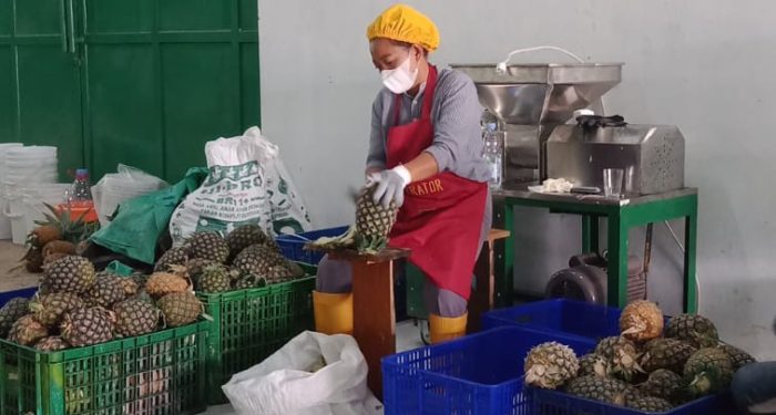 Petani Lokal jadi Pemilik Pabrik dan Saham di IKON Subang