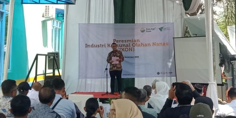 Dompet Dhuafa Gagas Industri Komunal Olahan Nanas (IKON) di Desa Cirangkong Subang