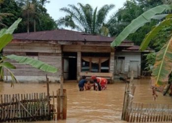 Korban Banjir di Aceh Mengungsi ke 35 Titik