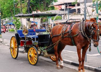 Ketika Kereta tanpa Kuda