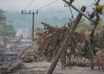 204.63 Hektare Lahan Pertanian Rusak Akibat Erupsi Gunung Semeru