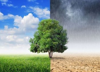 Musim Pancaroba Menyebabkan Stres Metabolik pada Tubuh