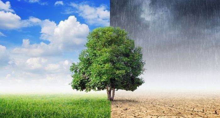 Musim Pancaroba Menyebabkan Stres Metabolik pada Tubuh