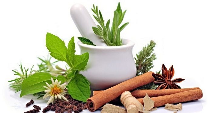 Simak Daftar Obat Herbal yang Dilarang BPOM