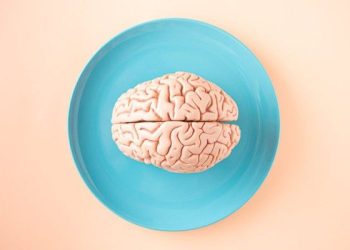 Peran DHA dan AA dalam Mendukung Fungsi dan Perkembangan Otak