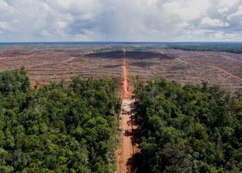 Musibah, Kerusakan, dan Keserakahan