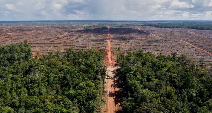 Musibah, Kerusakan, dan Keserakahan