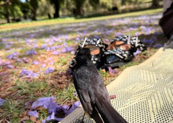 Beda Air Laut dengan Air Bah