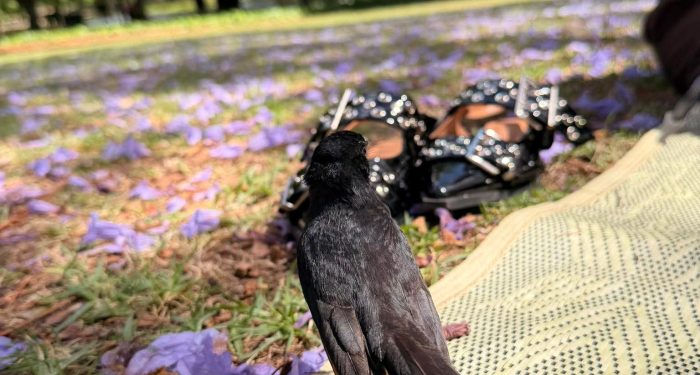 Beda Air Laut dengan Air Bah