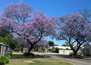 Sabar yang Sebenarnya