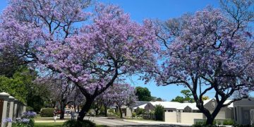 Sabar yang Sebenarnya