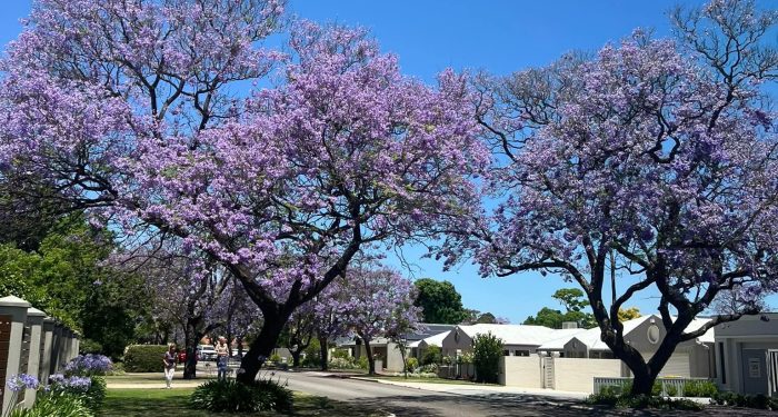 Sabar yang Sebenarnya