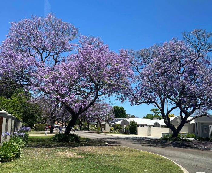Sabar yang Sebenarnya