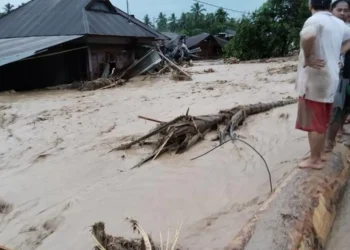 Sumatera, Bencana, dan Kerusakan Hutan
