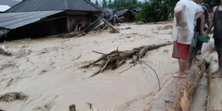 Sumatera, Bencana, dan Kerusakan Hutan