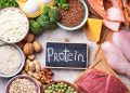 Fungsi Asam Amino dalam Kecerdasan Manusia