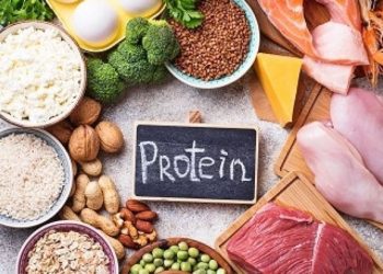 Fungsi Asam Amino dalam Kecerdasan Manusia