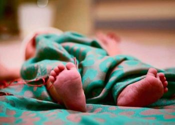 Pengaruh Stimulasi, Nutrisi, dan Perkembangan Otak pada Balita