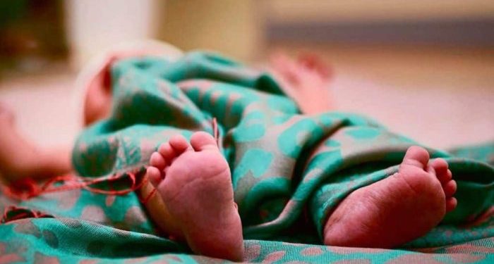 Pengaruh Stimulasi, Nutrisi, dan Perkembangan Otak pada Balita