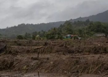 Pemerintah Provinsi Sumbar Catat 1.341 ha Sawah Masyarakat Gagal Panen Akibat Bencana
