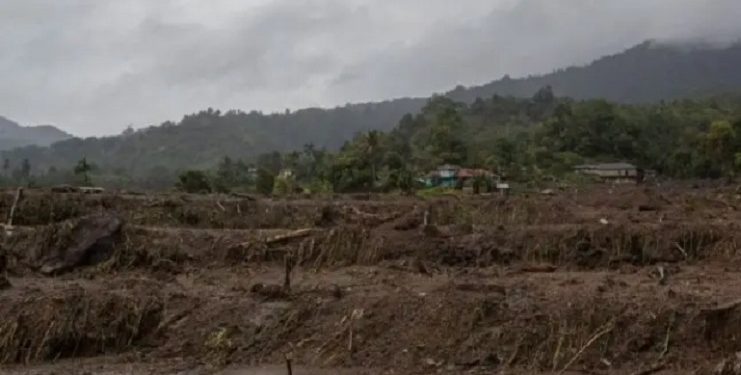 Pemerintah Provinsi Sumbar Catat 1.341 ha Sawah Masyarakat Gagal Panen Akibat Bencana