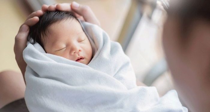 Peran Sialic Acid dalam Perkembangan Otak Anak Usia 4–6 Tahun