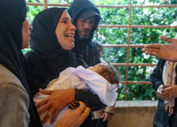 PBB Temukan Penghancuran Layanan Ibu dan Anak di Tengah Genosida Gaza