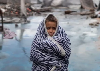 Krisis Kemanusiaan Gaza Pasca Gencatan Senjata: Kesehatan, Pengungsian, dan Ketergantungan Bantuan