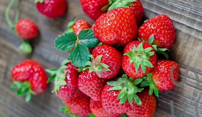 Selain Ikan, Berikut Makanan Terbaik untuk Kecerdasan si Buah Hati